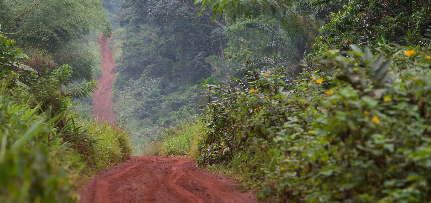 Renaud Fulconis - Pourquoi 
je peux vous
accompagner
en coaching de vie ?