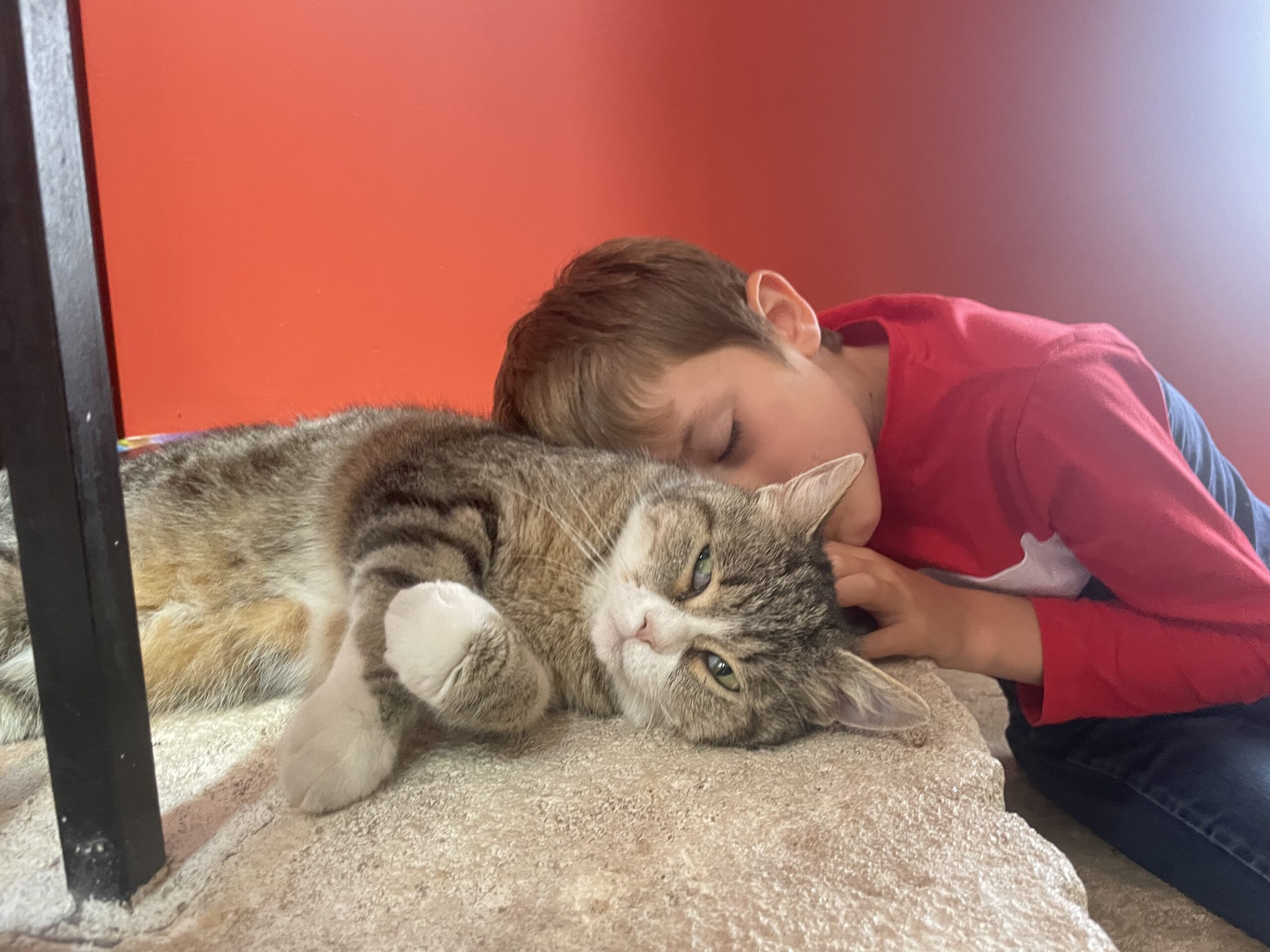 Renaud Fulconis - Se sentir bien !